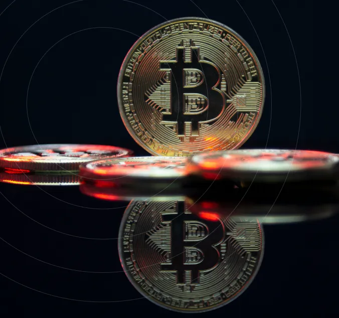 DASP Licence Salvador