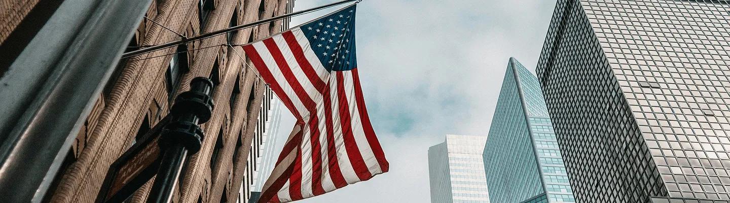 Licencia MSB USA full