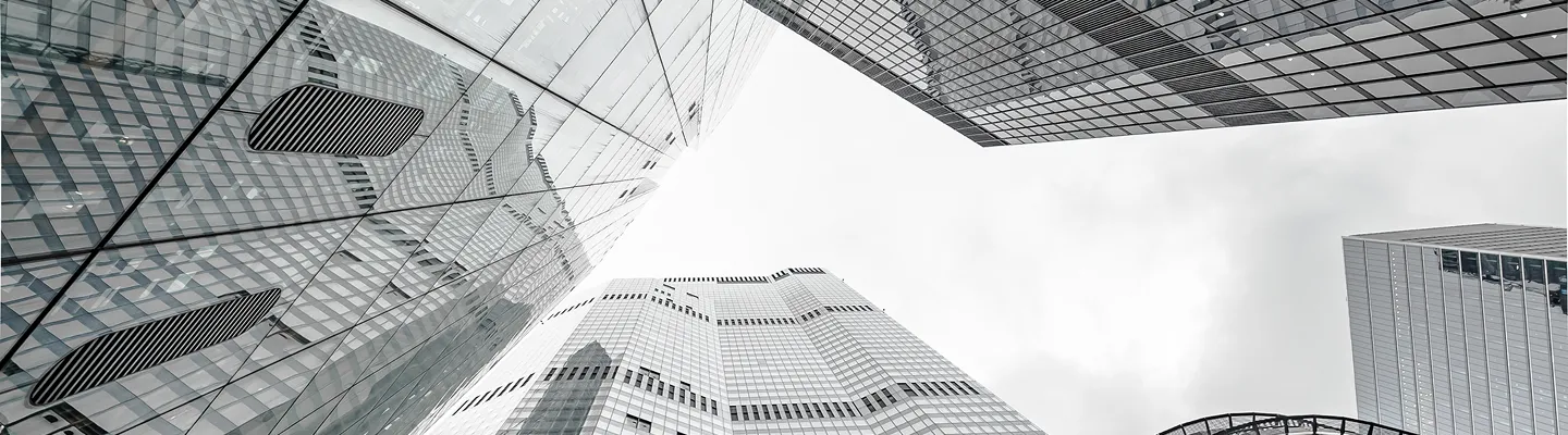 AML Consulting full