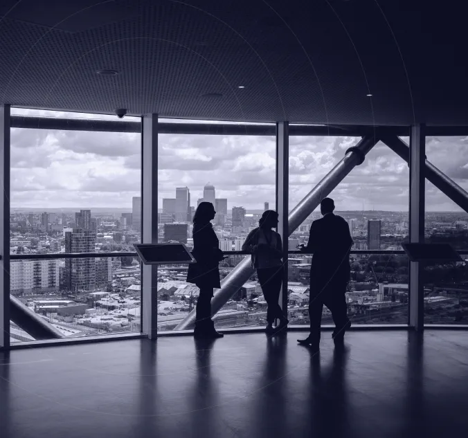 AML Consulting